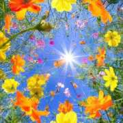 ヒメ日記 2025/04/29 15:46 投稿 篠原 MadameRest(マダムレスト)