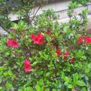 ヒメ日記 2025/04/30 17:02 投稿 篠原 MadameRest(マダムレスト)