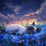 ヒメ日記 2025/05/05 02:22 投稿 篠原 MadameRest(マダムレスト)