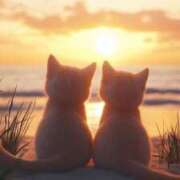 ヒメ日記 2025/05/07 19:19 投稿 篠原 MadameRest(マダムレスト)