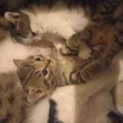 ヒメ日記 2025/05/08 12:21 投稿 篠原 MadameRest(マダムレスト)