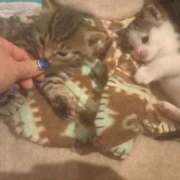 ヒメ日記 2025/05/10 06:57 投稿 篠原 MadameRest(マダムレスト)