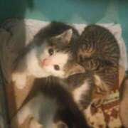 ヒメ日記 2025/05/10 12:43 投稿 篠原 MadameRest(マダムレスト)