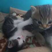 ヒメ日記 2025/05/11 12:17 投稿 篠原 MadameRest(マダムレスト)