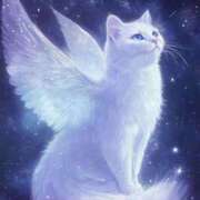 ヒメ日記 2025/05/11 16:07 投稿 篠原 MadameRest(マダムレスト)