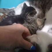 ヒメ日記 2025/05/14 23:24 投稿 篠原 MadameRest(マダムレスト)