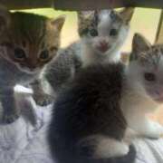 ヒメ日記 2025/05/16 12:18 投稿 篠原 MadameRest(マダムレスト)