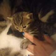 ヒメ日記 2025/05/18 07:05 投稿 篠原 MadameRest(マダムレスト)