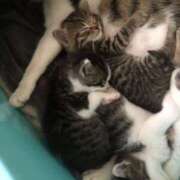 ヒメ日記 2025/05/20 07:08 投稿 篠原 MadameRest(マダムレスト)