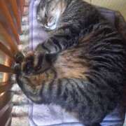 ヒメ日記 2025/05/21 18:08 投稿 篠原 MadameRest(マダムレスト)