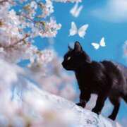 ヒメ日記 2025/05/23 15:40 投稿 篠原 MadameRest(マダムレスト)