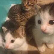 ヒメ日記 2025/05/24 07:21 投稿 篠原 MadameRest(マダムレスト)