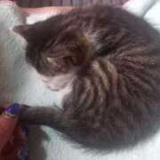 ヒメ日記 2025/05/25 12:59 投稿 篠原 MadameRest(マダムレスト)