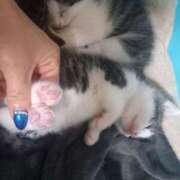 ヒメ日記 2025/05/26 06:56 投稿 篠原 MadameRest(マダムレスト)