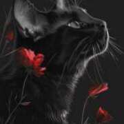 ヒメ日記 2025/05/26 18:09 投稿 篠原 MadameRest(マダムレスト)