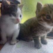 ヒメ日記 2025/05/27 15:19 投稿 篠原 MadameRest(マダムレスト)