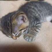 ヒメ日記 2025/06/06 06:32 投稿 篠原 MadameRest(マダムレスト)