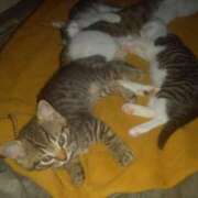 ヒメ日記 2025/06/09 07:09 投稿 篠原 MadameRest(マダムレスト)