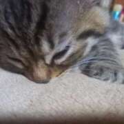 ヒメ日記 2025/06/10 07:35 投稿 篠原 MadameRest(マダムレスト)