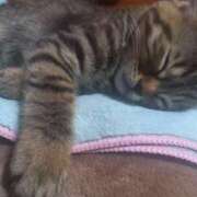 ヒメ日記 2025/06/12 23:03 投稿 篠原 MadameRest(マダムレスト)