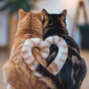 ヒメ日記 2025/06/13 16:53 投稿 篠原 MadameRest(マダムレスト)