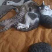 ヒメ日記 2025/06/14 12:47 投稿 篠原 MadameRest(マダムレスト)