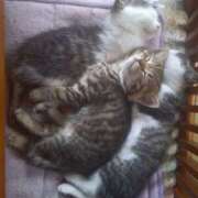 ヒメ日記 2025/06/15 12:26 投稿 篠原 MadameRest(マダムレスト)