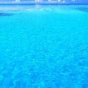 ヒメ日記 2025/06/15 16:27 投稿 篠原 MadameRest(マダムレスト)