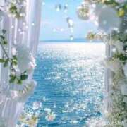 ヒメ日記 2025/06/16 15:42 投稿 篠原 MadameRest(マダムレスト)