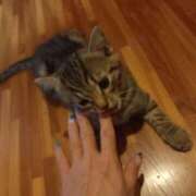 ヒメ日記 2025/06/20 03:57 投稿 篠原 MadameRest(マダムレスト)