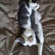 ヒメ日記 2025/06/20 13:35 投稿 篠原 MadameRest(マダムレスト)