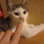 ヒメ日記 2025/06/21 04:08 投稿 篠原 MadameRest(マダムレスト)