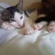 ヒメ日記 2025/06/21 12:41 投稿 篠原 MadameRest(マダムレスト)