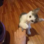 ヒメ日記 2025/06/22 04:09 投稿 篠原 MadameRest(マダムレスト)