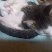 ヒメ日記 2025/06/22 07:07 投稿 篠原 MadameRest(マダムレスト)