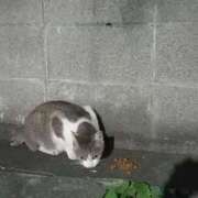 ヒメ日記 2025/06/23 03:25 投稿 篠原 MadameRest(マダムレスト)