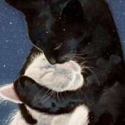 ヒメ日記 2025/06/23 07:16 投稿 篠原 MadameRest(マダムレスト)