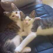 ヒメ日記 2025/06/23 12:54 投稿 篠原 MadameRest(マダムレスト)