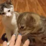 ヒメ日記 2025/06/24 03:54 投稿 篠原 MadameRest(マダムレスト)