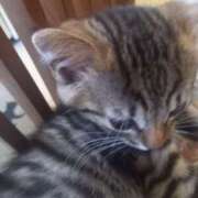 ヒメ日記 2025/06/25 14:22 投稿 篠原 MadameRest(マダムレスト)