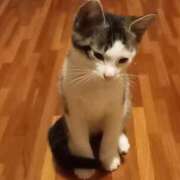 ヒメ日記 2025/06/27 04:26 投稿 篠原 MadameRest(マダムレスト)