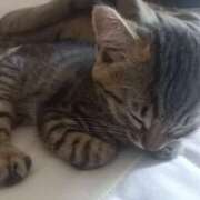 ヒメ日記 2025/06/28 12:35 投稿 篠原 MadameRest(マダムレスト)