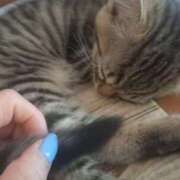 ヒメ日記 2025/06/29 12:40 投稿 篠原 MadameRest(マダムレスト)