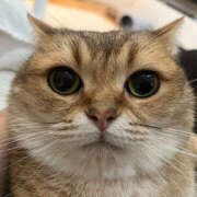 ヒメ日記 2025/06/29 16:06 投稿 篠原 MadameRest(マダムレスト)