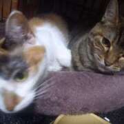 ヒメ日記 2025/06/30 07:09 投稿 篠原 MadameRest(マダムレスト)