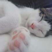 ヒメ日記 2025/06/30 12:22 投稿 篠原 MadameRest(マダムレスト)