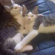 ヒメ日記 2025/07/01 12:31 投稿 篠原 MadameRest(マダムレスト)