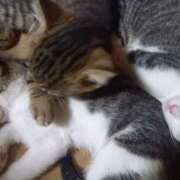 ヒメ日記 2025/07/03 12:07 投稿 篠原 MadameRest(マダムレスト)