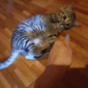 ヒメ日記 2025/07/04 03:28 投稿 篠原 MadameRest(マダムレスト)