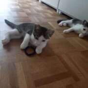 ヒメ日記 2025/07/04 13:01 投稿 篠原 MadameRest(マダムレスト)